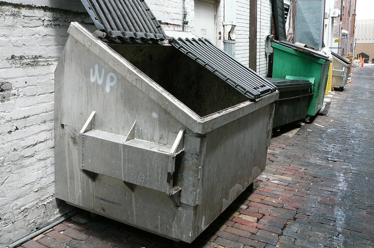 Dumpster in an alley